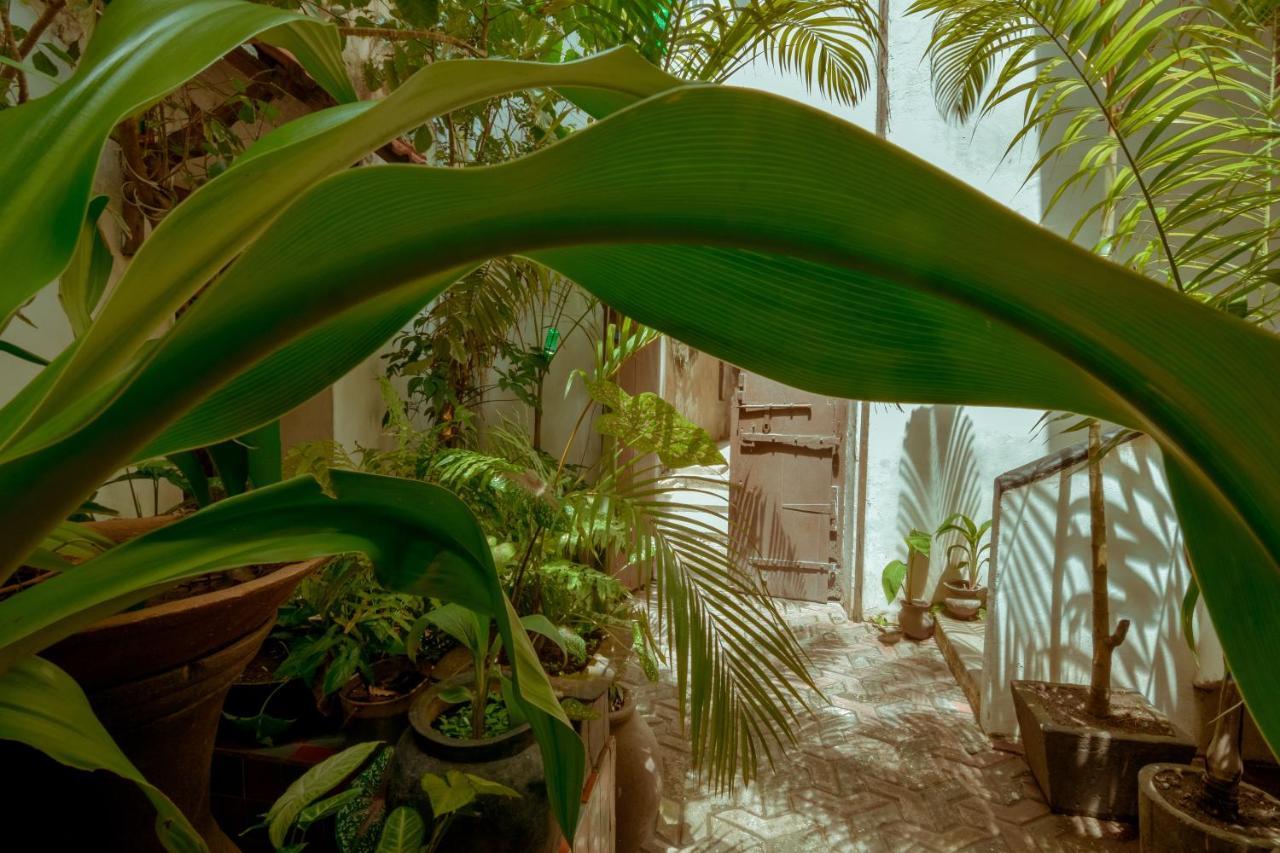 Malindi Guest House Zanzibar Екстериор снимка